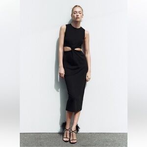 Zara Cut Out Dress